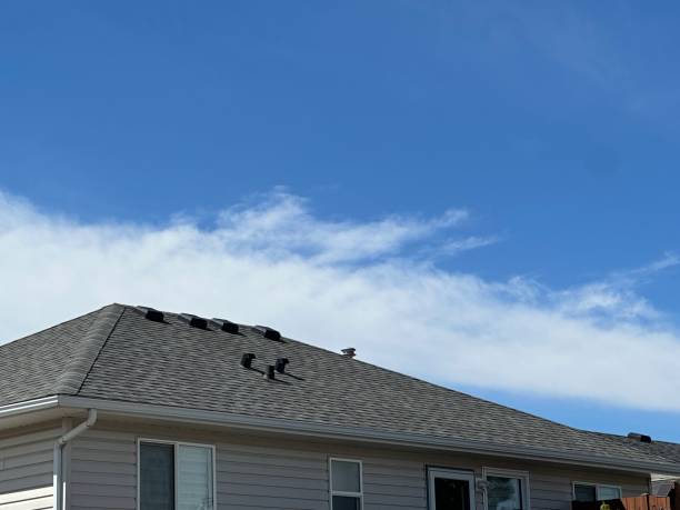 Fast & Reliable Emergency Roof Repairs in Sunnyvale, TX